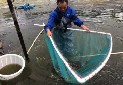 水產養(yǎng)殖光面土工膜